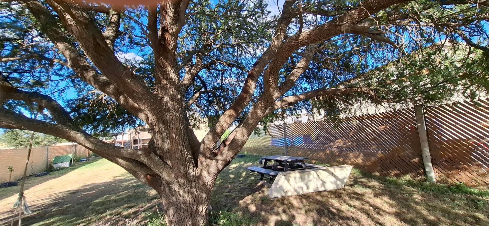 A La Sombra Del Calden Apartment RSA Exterior photo